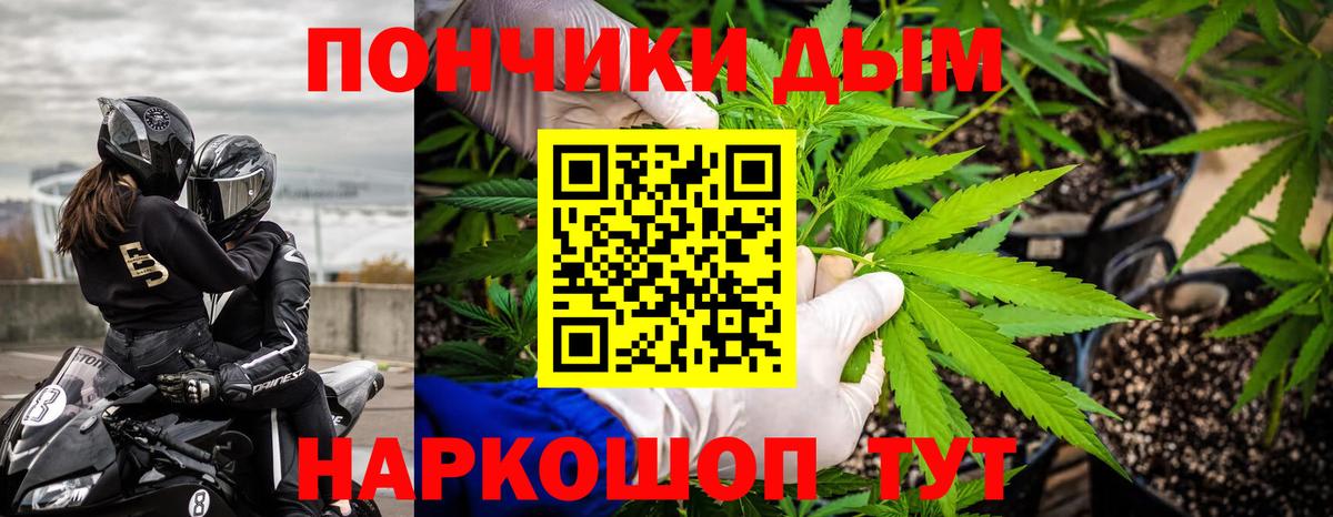 МАРИХУАНА OG Kush  Канабис семена  Лесной  МАРИХУАНА конопля  Вход с VPN  Шишки марихуана план 